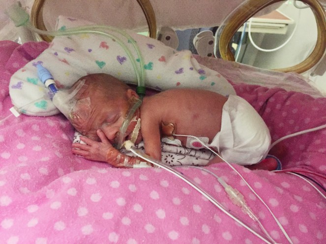 Processed with VSCO with s3 preset