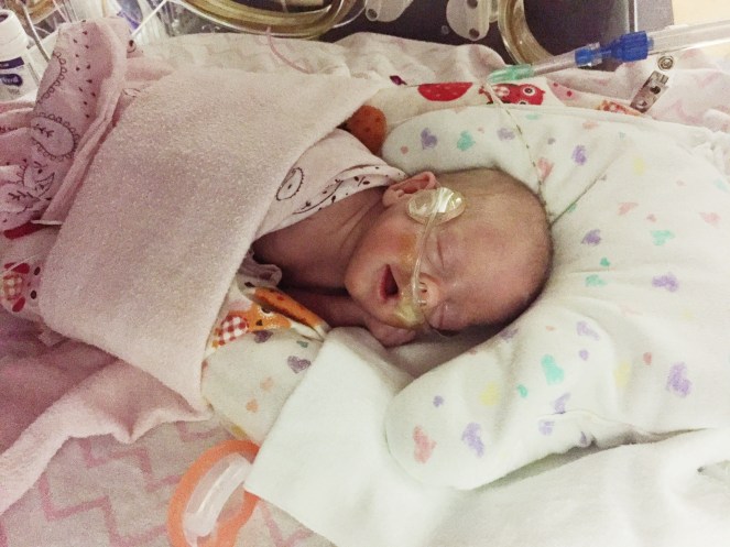 Processed with VSCO with s3 preset