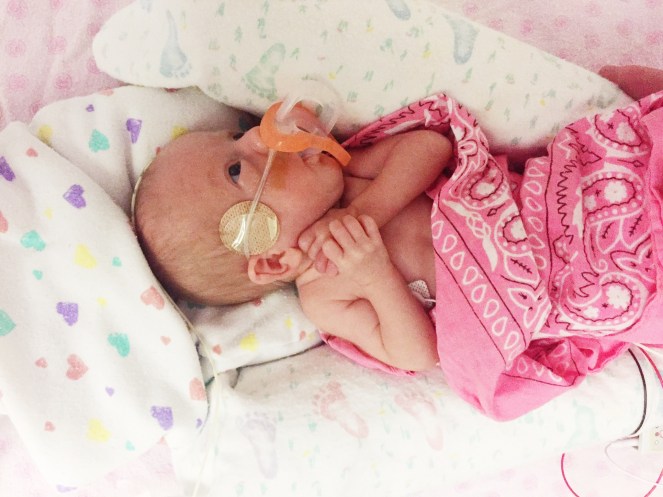 Processed with VSCO with s3 preset