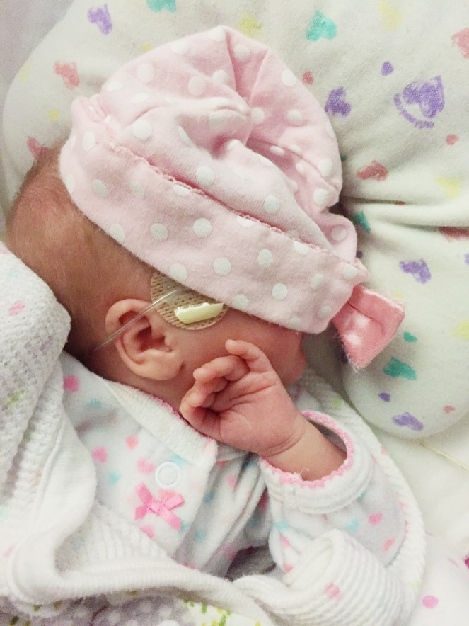 Processed with VSCO with s3 preset